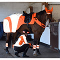 Equisafety Reflective Mercury Horse Hi Viz Exercise Rug - orange - Equisafety