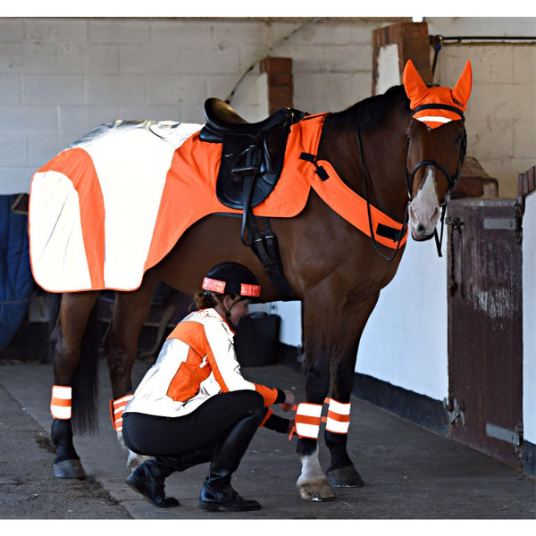 Equisafety Reflective Mercury Horse Hi Viz Exercise Rug - orange - Equisafety