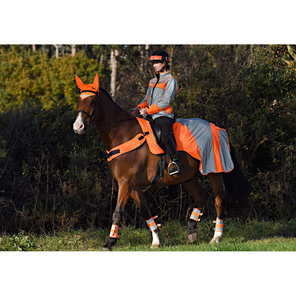 Equisafety Reflective Mercury Horse Hi Viz Exercise Rug - orange - Equisafety