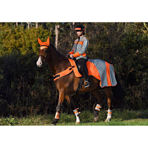Equisafety Reflective Mercury Horse Hi Viz Exercise Rug - orange - Equisafety