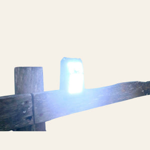 Equisafety Solar Powered LED Outdoor Light Clip. - Equisafety