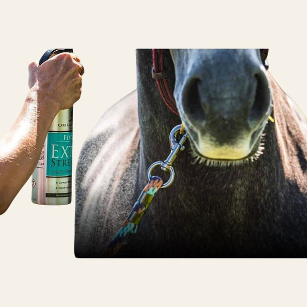 FLYGARD® Extra Strength with DEET - Equisafety