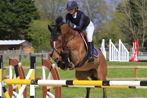 Equisafety gatehouse conquest mkii riding hat blackrose gold limited edition
