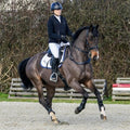 Helite Zip In 2 Airbag Vest - Rider Airbag Protection - Black - FREE AIR WAISTCOAT with every order. Worth £34.99 - Equisafety