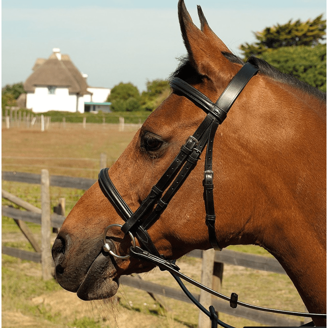 Heritage Leather Plain Bridle - Equisafety
