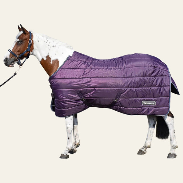 Equisafety john whitaker kirkby turnout rug 100g red 6ft6 only