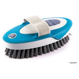 KBF99 Antibacterial Body Brush Blue - Equisafety