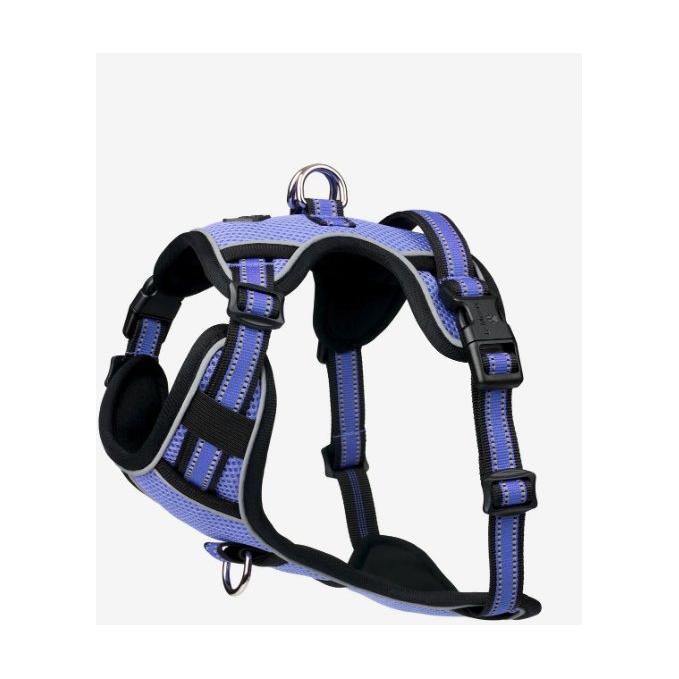 Le Mieux Winchester Dog Harness Bluebell - Equisafety