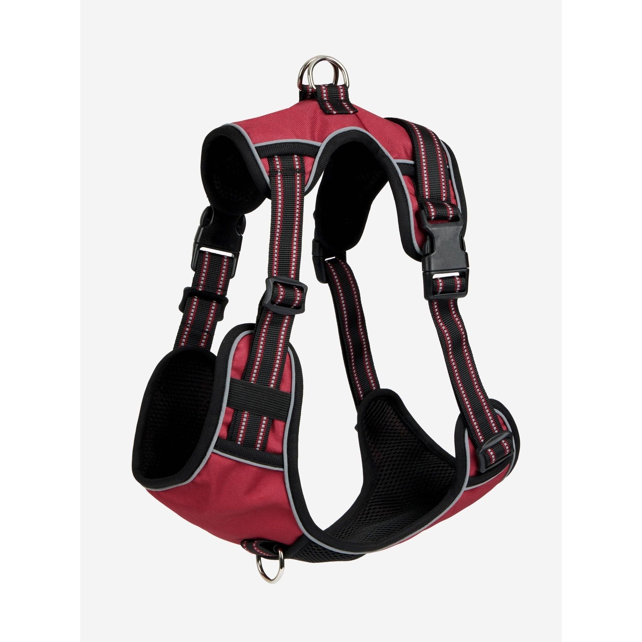 Le Mieux Winchester Dog Harness Bluebell Burgundy - Equisafety