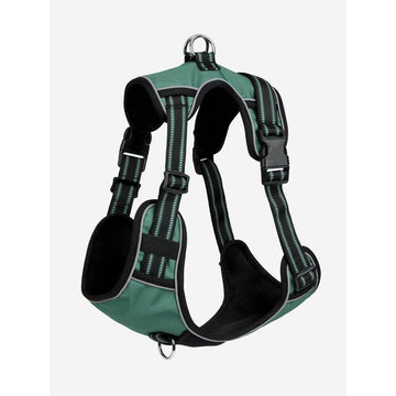 Le Mieux Winchester Dog Harness Sage - Equisafety