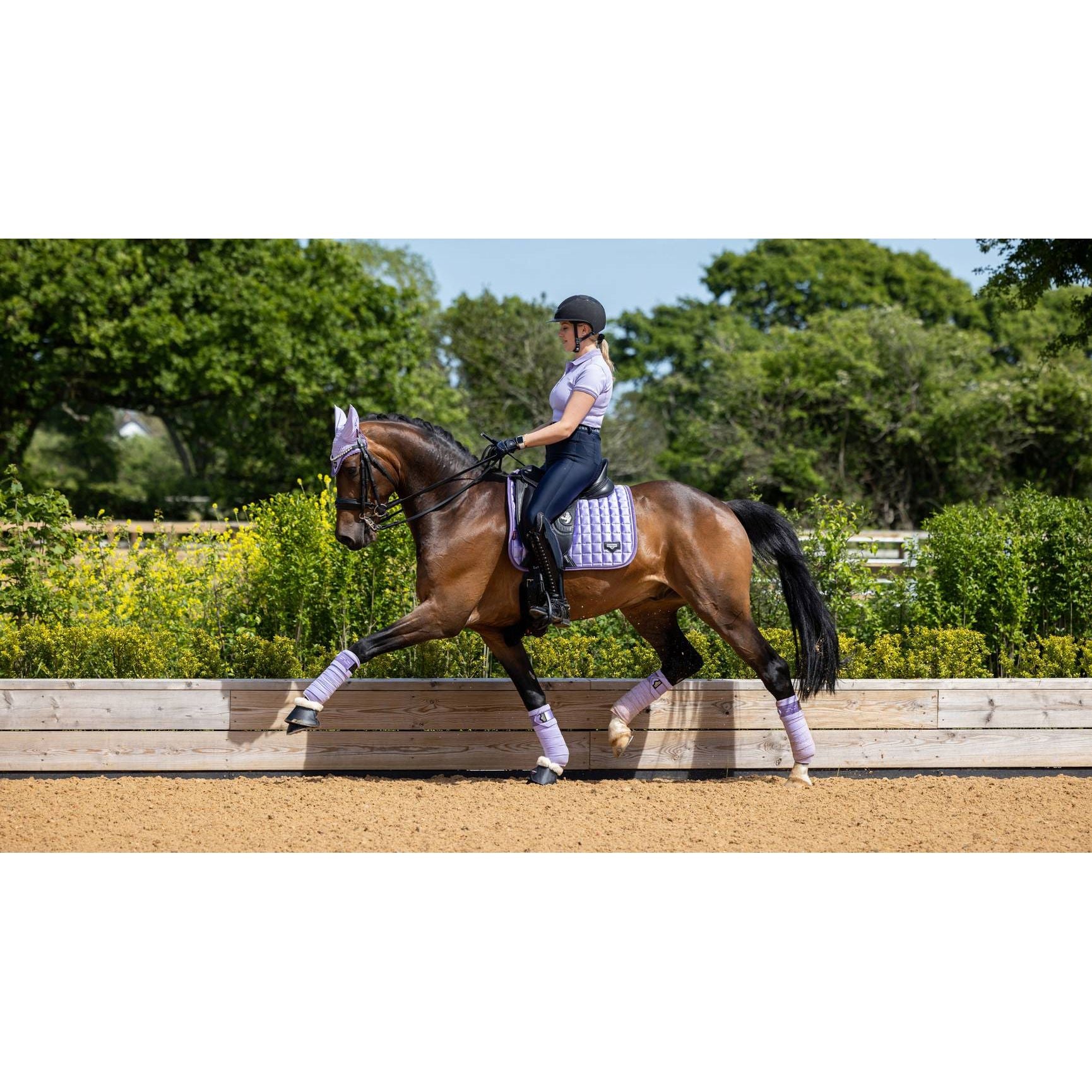 Lemieux - Loire Classic Dressage Square Wisteria - Equisafety