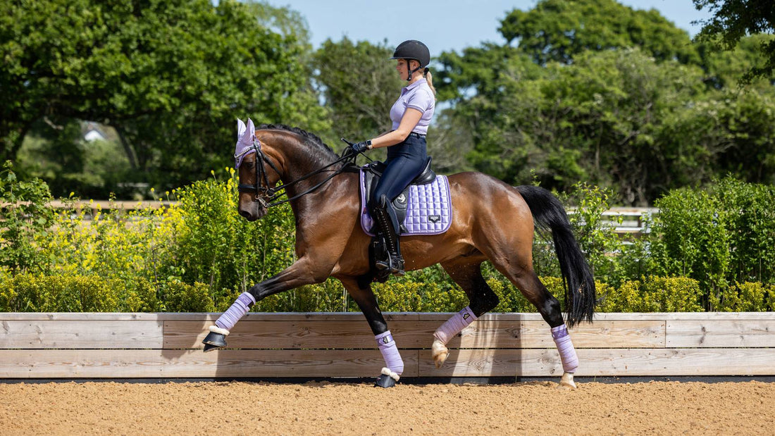 Lemieux - Loire Classic Dressage Square Wisteria - Equisafety