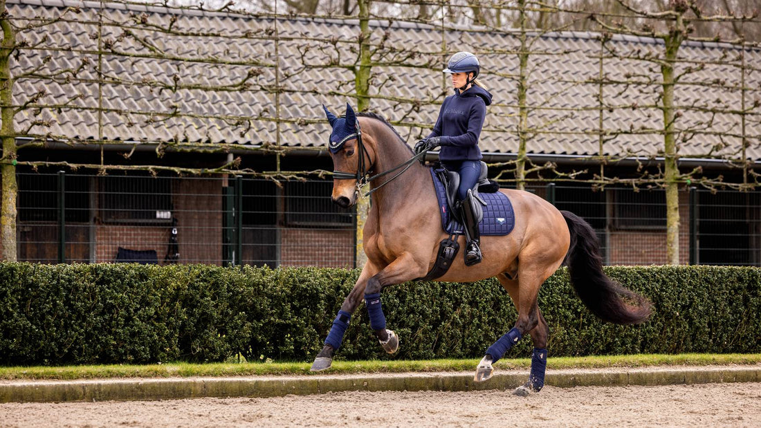 Lemuix - Loire Classic Dressage Square Navy - Equisafety