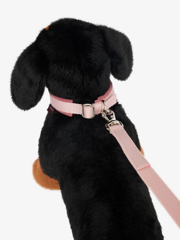 Toy Puppy Collar & Lead