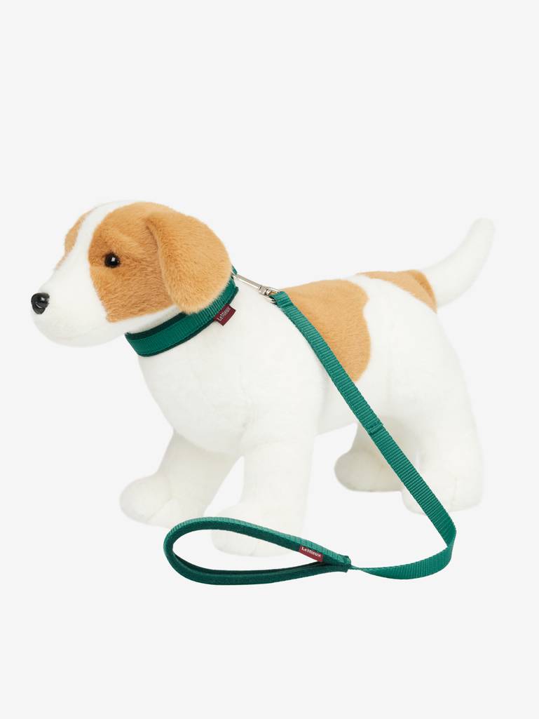 Toy Puppy Collar & Lead Evergreen