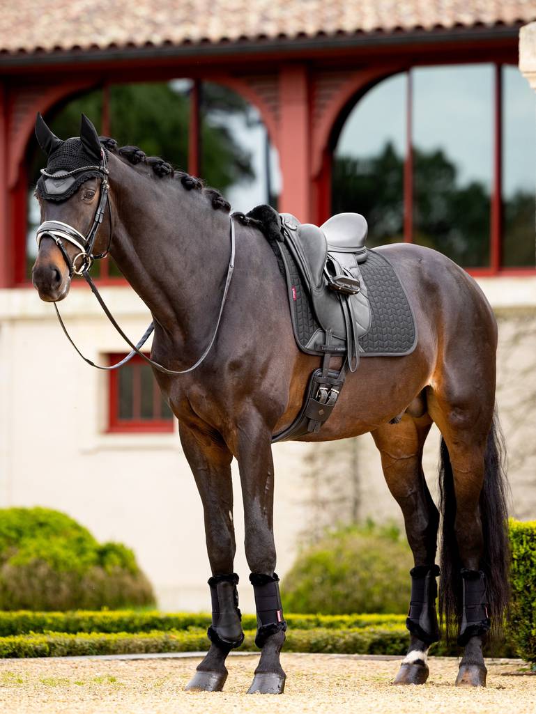 Merino+ Half Lined Dressage Square Black/Black - Equisafety