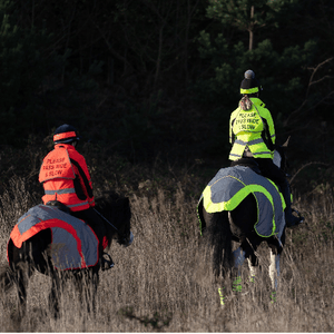 Equisafety multi colour reflective vest pinkyellow