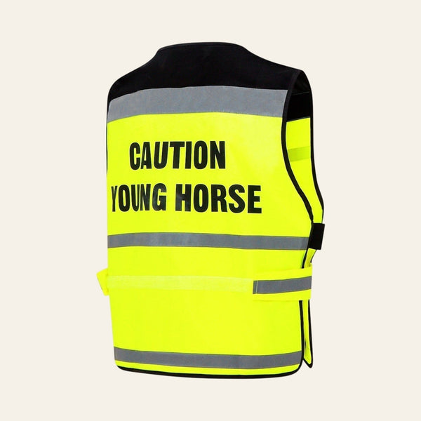 Equisafety multi colour reflective vest pinkyellow