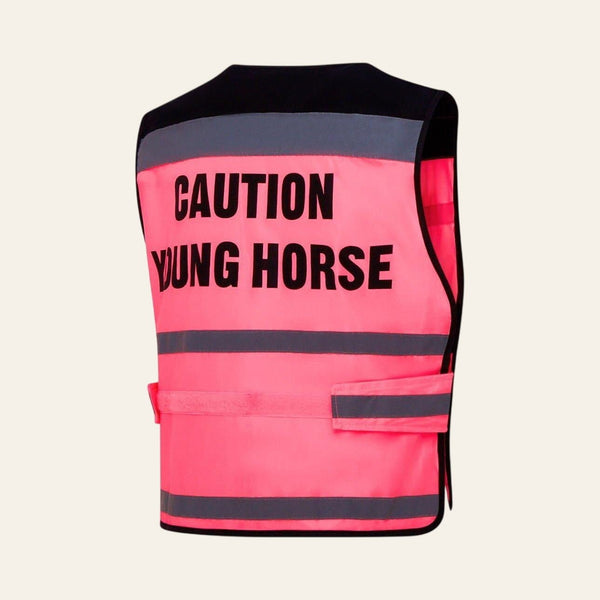 Equisafety multi colour reflective vest pinkyellow