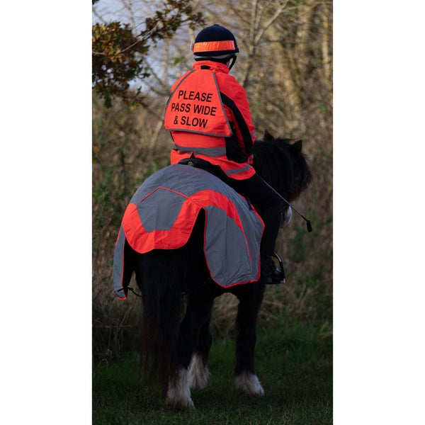 Equisafety multi colour reflective vest pinkyellow