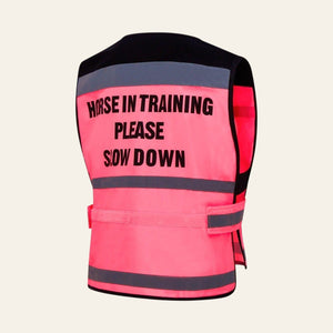 Equisafety multi colour reflective vest pinkyellow