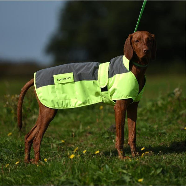 Equisafety multi colour reflective vest pinkyellow