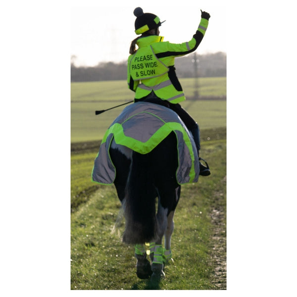 Equisafety multi colour reflective vest pinkyellow