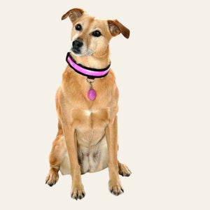 Equisafety multi colour reflective vest pinkyellow