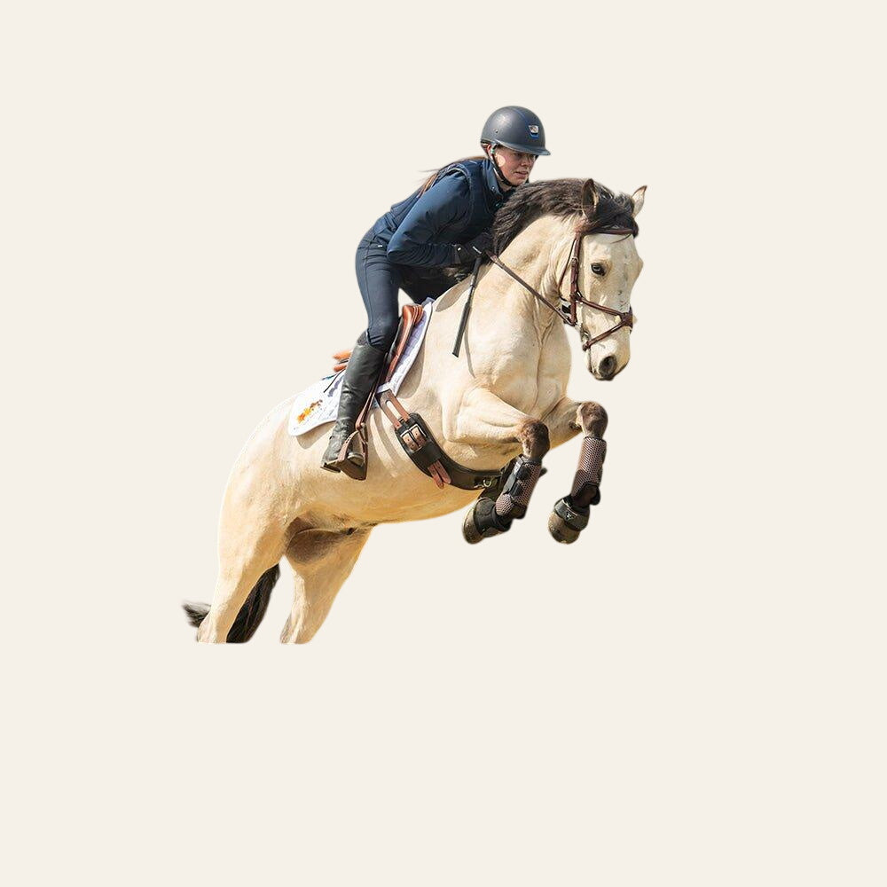 Premier Equine Centauri Horse Riding Helmet - Navy - Equisafety