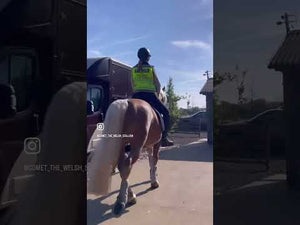 Equisafety POLITE Horse Waistcoat - Please Slow Down