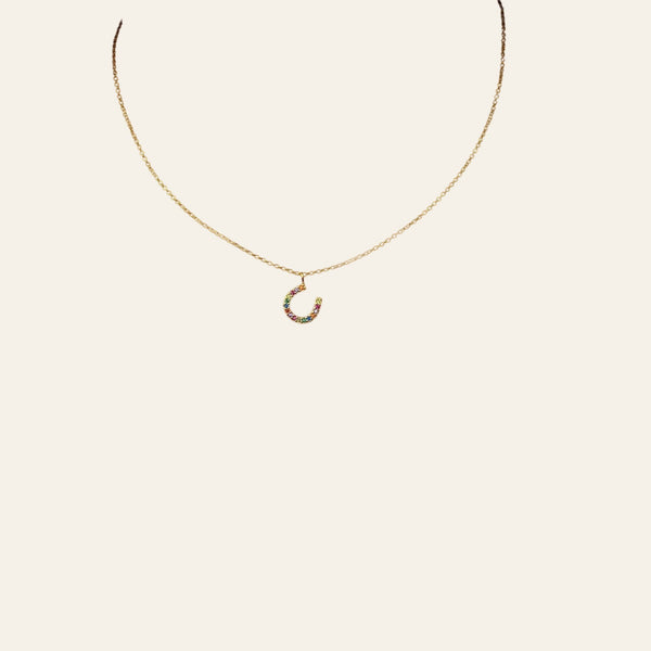 Reeves and Reeves Rainbow Crystals and Sterling Silver Horseshoe Necklace - Equisafety