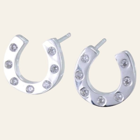 Equisafety reeves and reeves rainbow crystals and sterling silver horseshoe