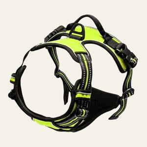 Reflective No - Pull Dog Harness - Pink - Equisafety