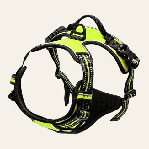 Equisafety reflective no pull dog harness pink