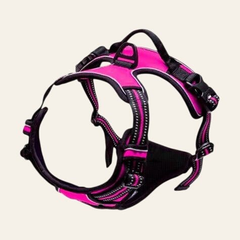 Equisafety reflective no pull dog harness pink