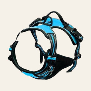 Equisafety reflective no pull dog harness pink