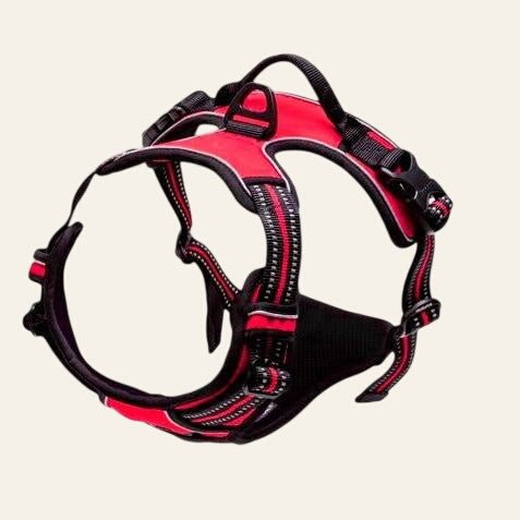 Equisafety reflective no pull dog harness pink