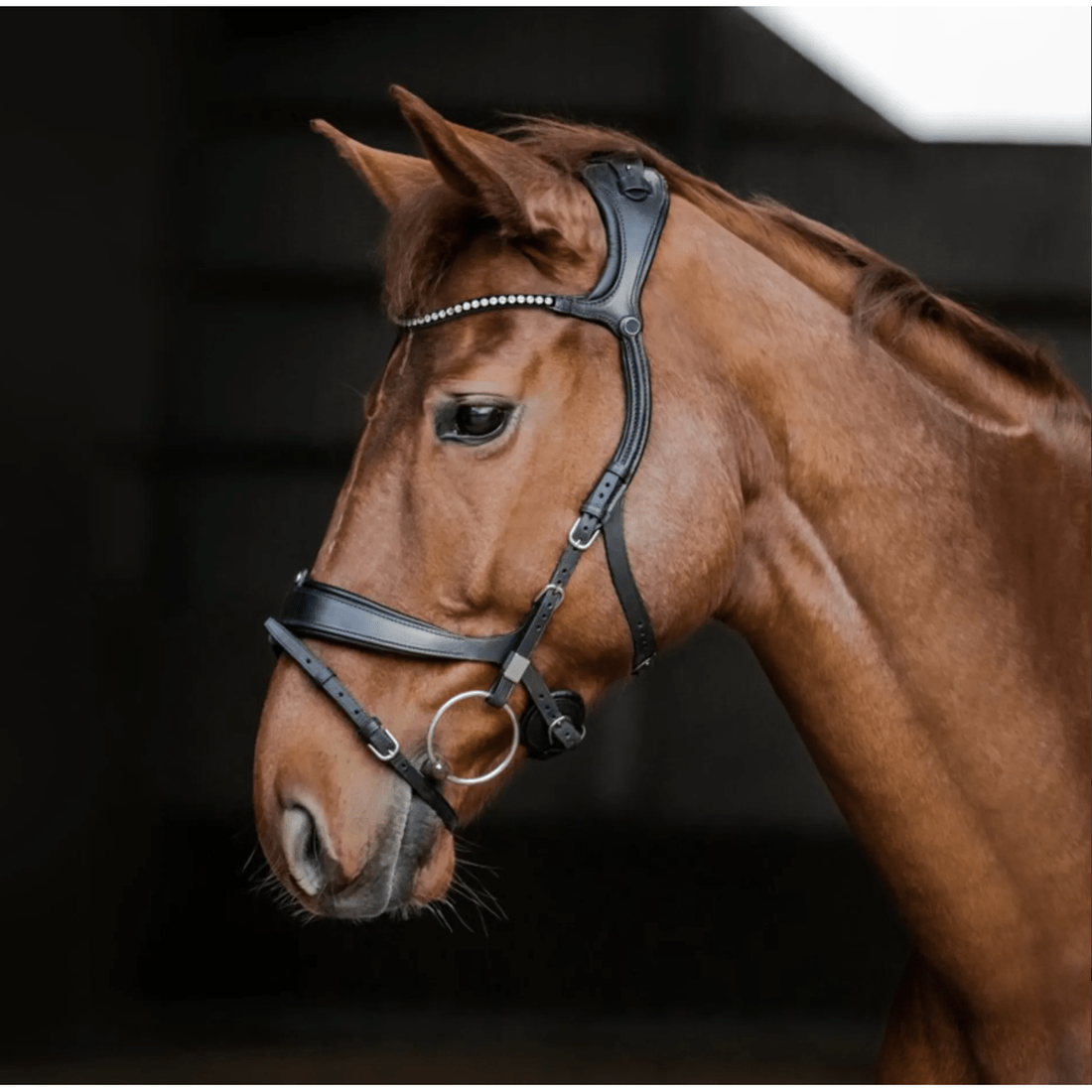 Stubben Snaffle Bridle Freedom || - Equisafety
