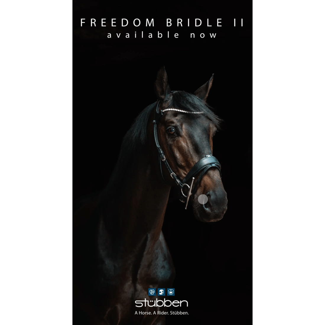 Stubben Snaffle Bridle Freedom || - Equisafety