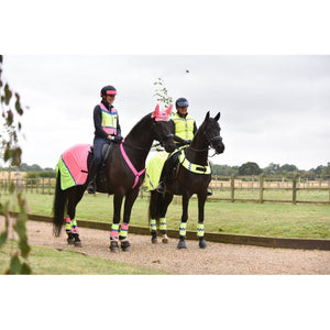 Equisafety summer horse exercise sheet hi vis orange