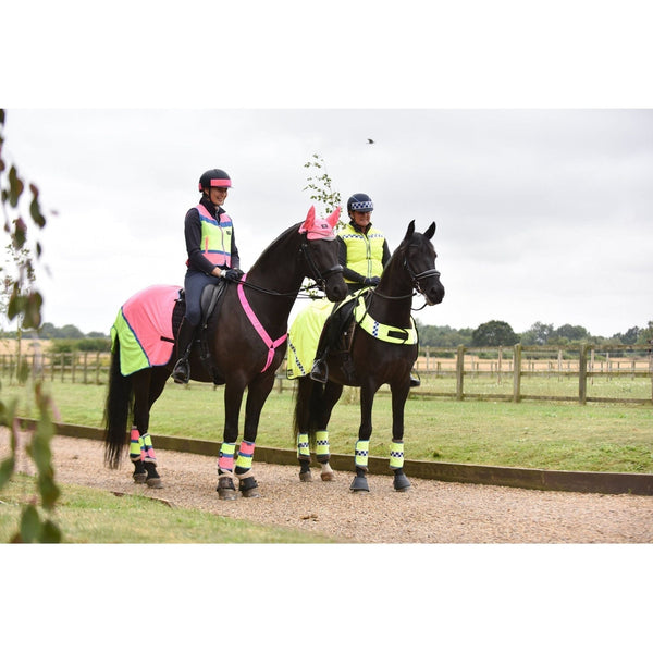 Equisafety summer horse exercise sheet hi vis orange