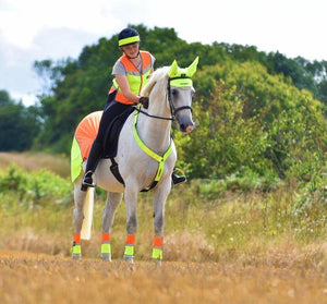 Equisafety summer horse exercise sheet hi vis orange