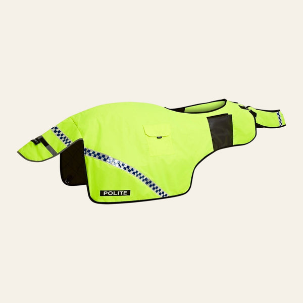 Equisafety summer horse exercise sheet hi vis orange