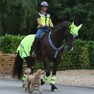 Equisafety summer horse exercise sheet hi vis orange