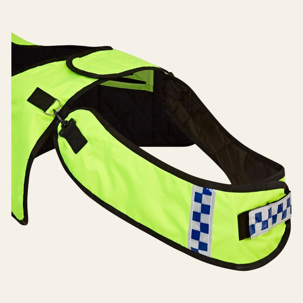 Equisafety summer horse exercise sheet hi vis orange