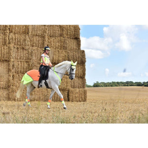 Equisafety hi viz reflective horse summer sheet orange