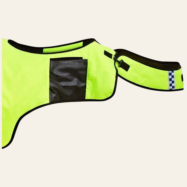 Equisafety summer horse exercise sheet hi vis orange