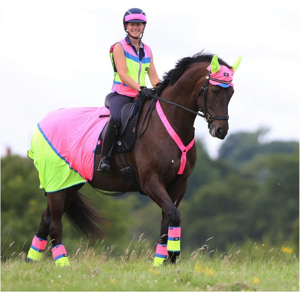 Equisafety summer horse exercise sheet hi vis orange