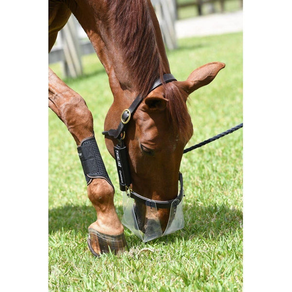 ThinLine Flexible Filly Grazing Muzzle - Equisafety