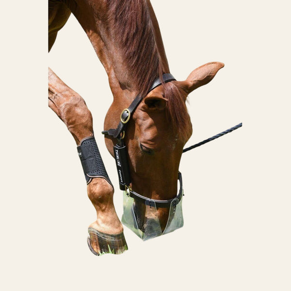 ThinLine Flexible Filly Grazing Muzzle - Equisafety